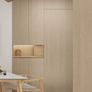 Foyer Full Height Shoes Cabinet and Bomb Shelter Door (6 feet)
