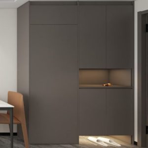 Foyer Full Height Shoes Cabinet and Bomb Shelter Door (6 feet)